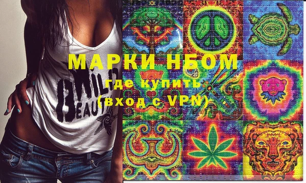 амф Верея