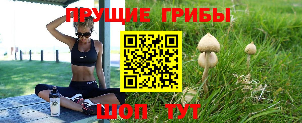 Вольск  Псилоцибиновые грибы Magic Shrooms  Вход с VPN  Псилоцибиновые грибы прущие грибы 