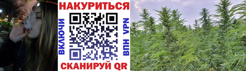 как найти закладки  Вольск  МЕГА рабочий сайт  Марихуана индика 