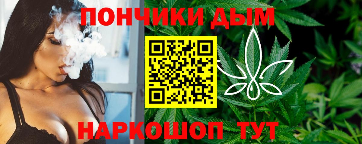 Бошки Шишки Вольск