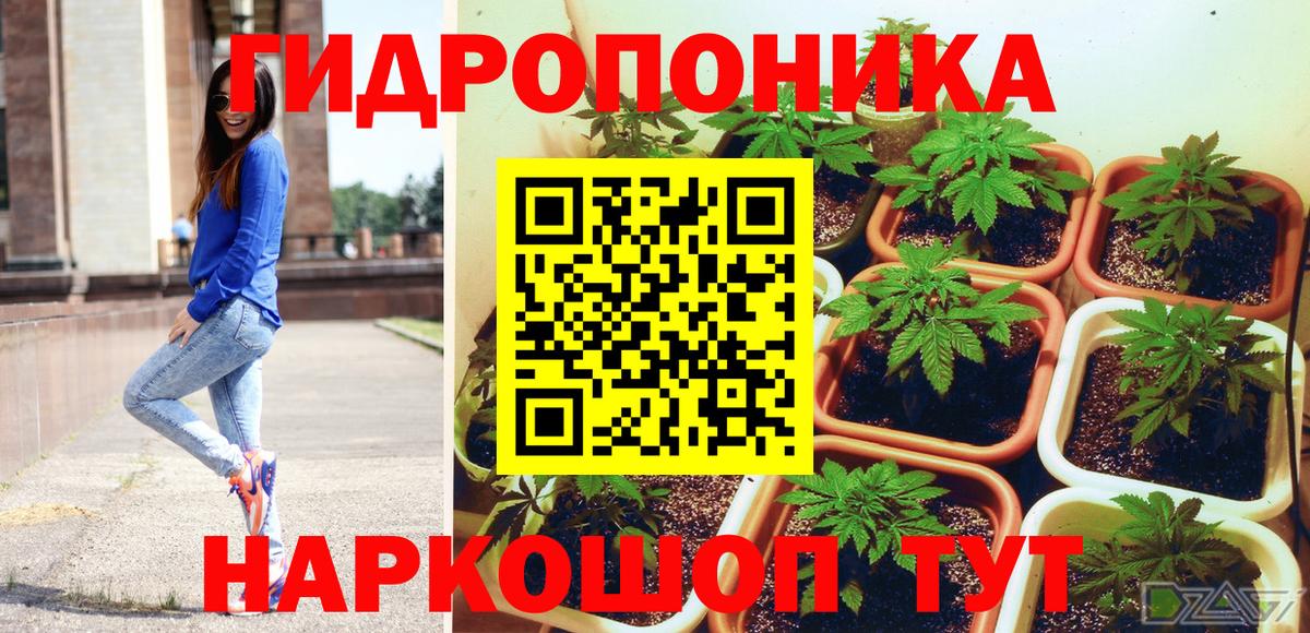Конопля марихуана  Каннабис THC 21%  Вольск  Вход с VPN 